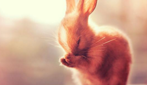 大洋洲篮坛劲旅夺得全球篮球巅峰赛冠军