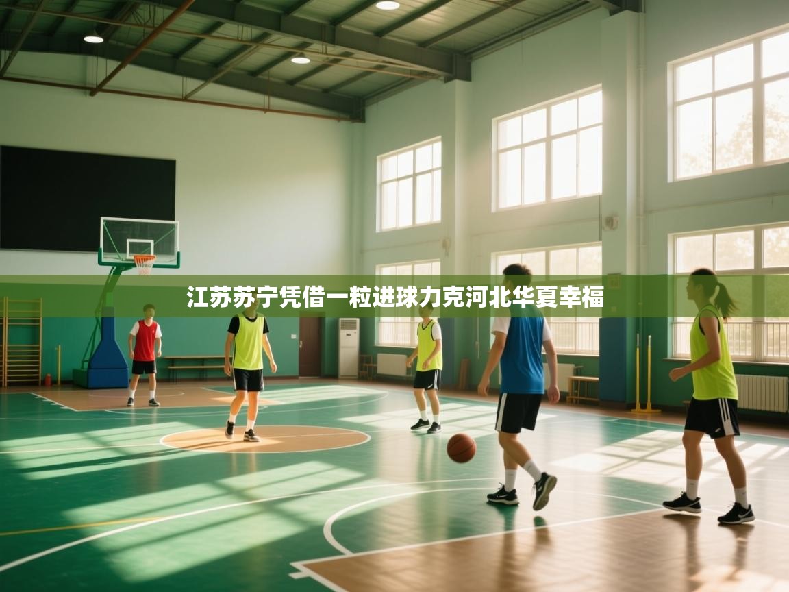 江苏苏宁凭借一粒进球力克河北华夏幸福