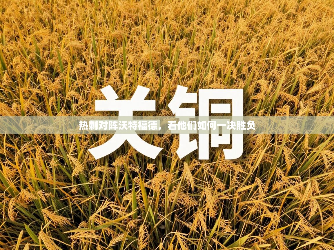 热刺对阵沃特福德，看他们如何一决胜负