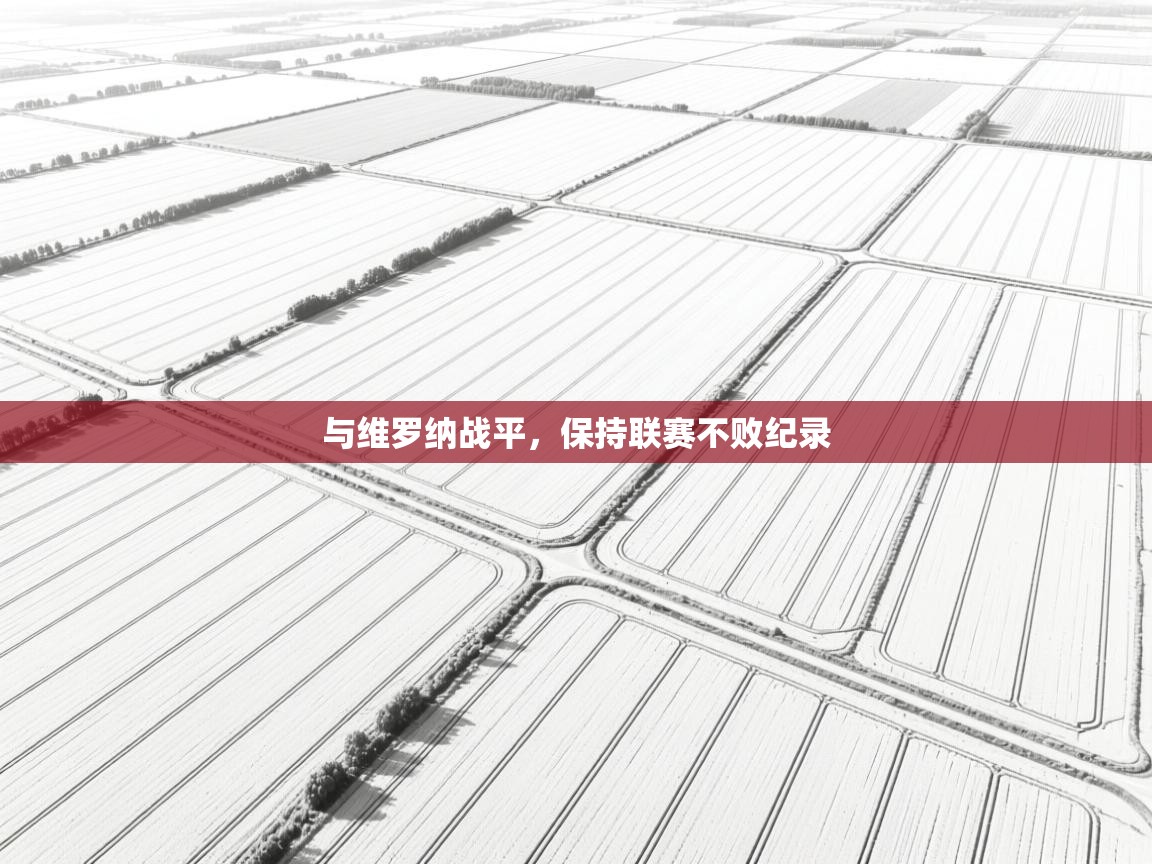 与维罗纳战平，保持联赛不败纪录